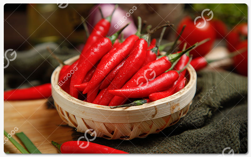 Histoire Du Chili Dans Le Monde