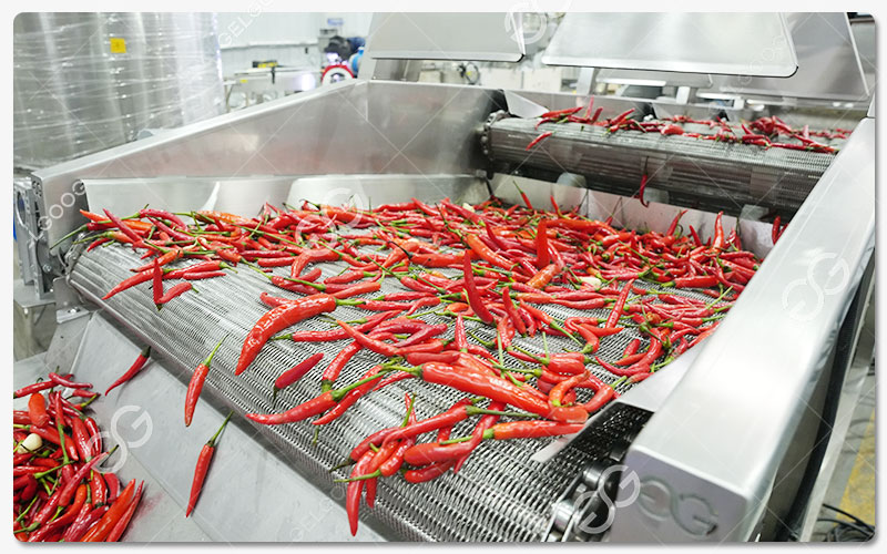 Caractéristiques De La Machine À Enlever L'Eau Du Piment