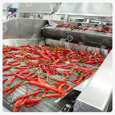 séchage à l'air des piments nettoyés