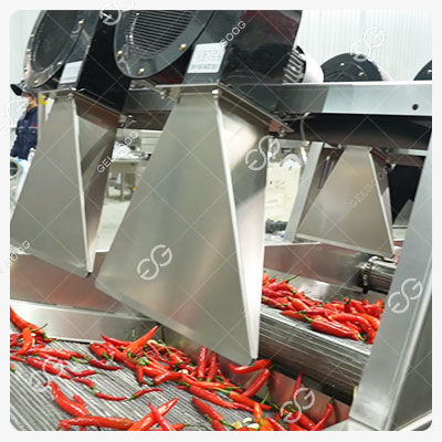 Séchage à l'air des piments nettoyés