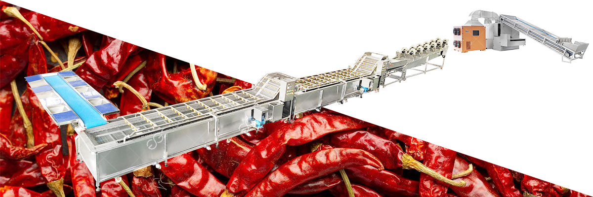 Ligne De Traitement Des Piments Séchés Automatique